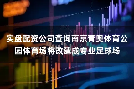 实盘配资公司查询南京青奥体育公园体育场将改建成专业足球场